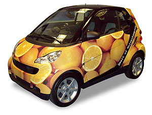 Vehicle Wrapping