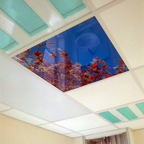 Ceiling Tile Graphics