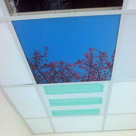 Ceiling Tile Graphics