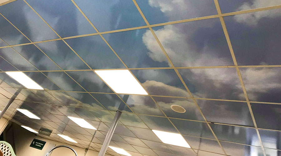Ceiling Graphics